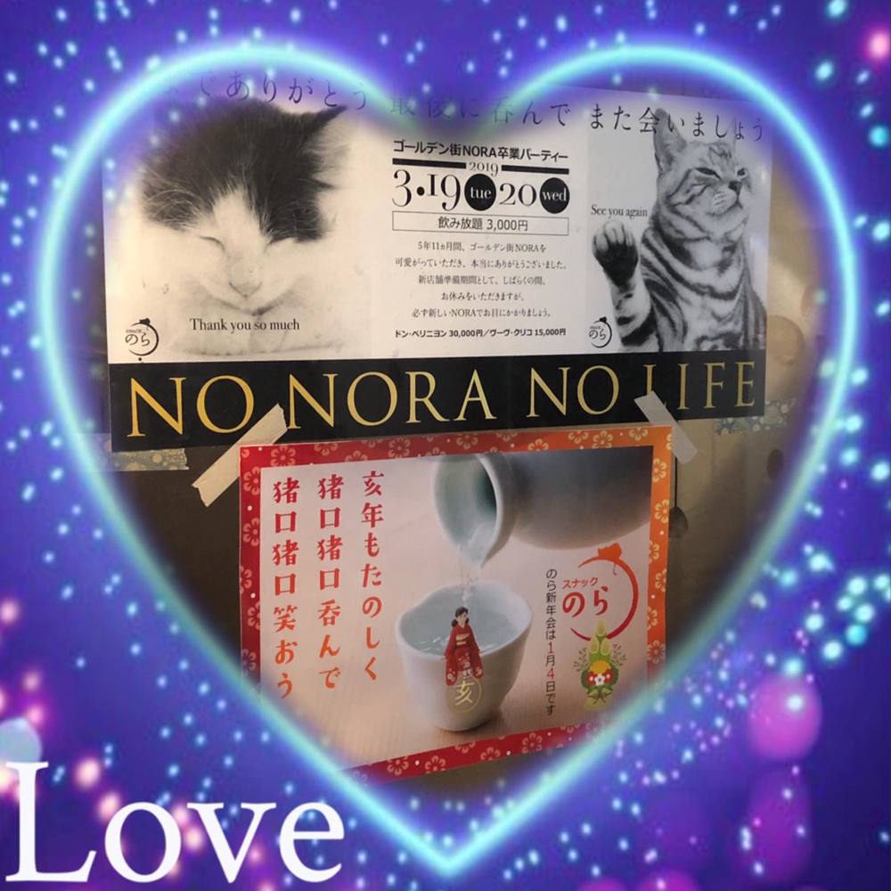 Meet your Posher, Nora